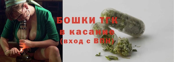 гидра Алексин