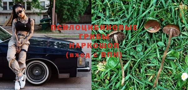 Альфа ПВП Алзамай