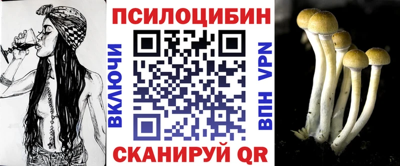 Галлюциногенные грибы Psilocybe Болотное