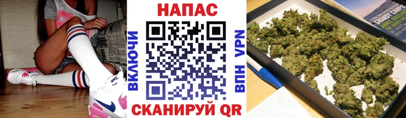 omg Болотное Каннабис план